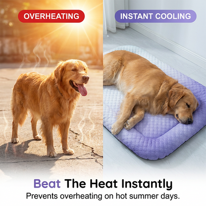 🥵 Hot Pet? Meet Their New Cool Spot.