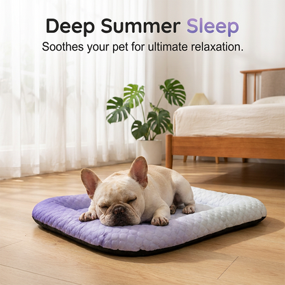 🥵 Hot Pet? Meet Their New Cool Spot.