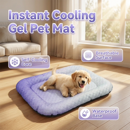 🥵 Hot Pet? Meet Their New Cool Spot.