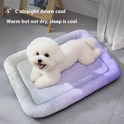 🥵 Hot Pet? Meet Their New Cool Spot.