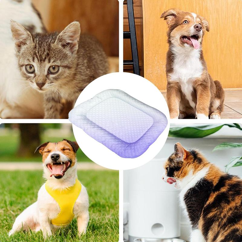 🥵 Hot Pet? Meet Their New Cool Spot.